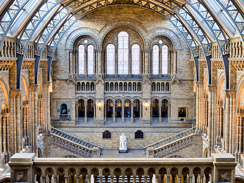 Natural History Museum photo